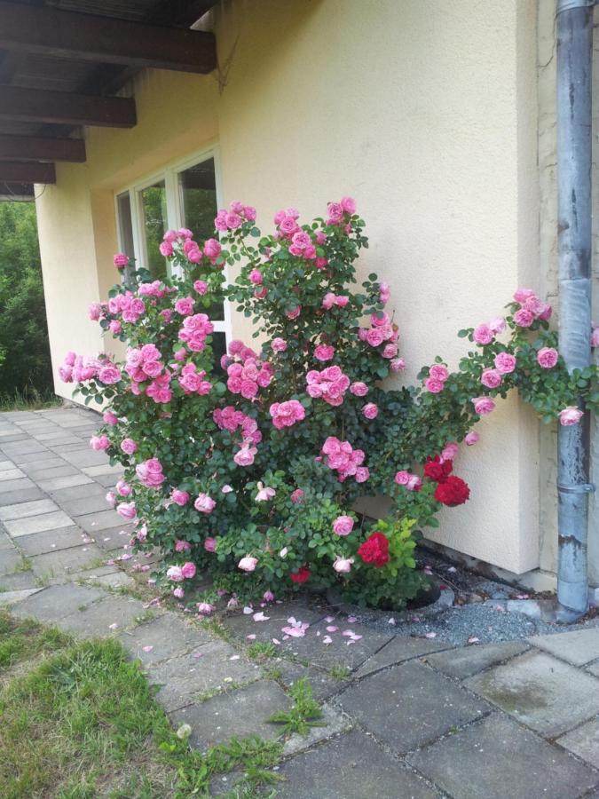 Ferienwohnung am Spreeradweg Neusalza-Spremberg Exterior foto